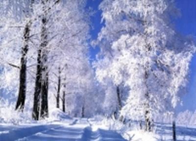 В Приморье потеплело В Приморье потеплело