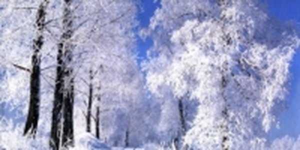 В Приморье потеплело