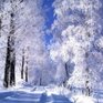 В Приморье потеплело