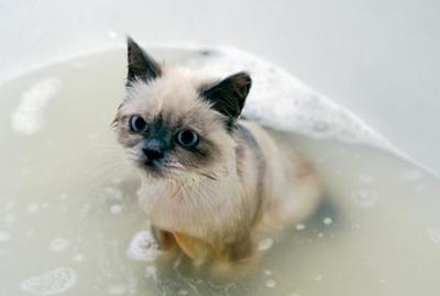 Возвращение горячей воды для части Владивостока вновь откладывается Возвращение горячей воды для части Владивостока вновь откладывается