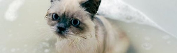 Возвращение горячей воды для части Владивостока вновь откладывается