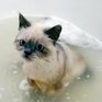 Возвращение горячей воды для части Владивостока вновь откладывается