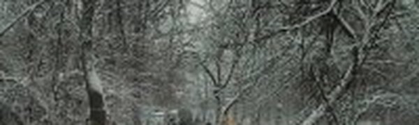 В Якутию пришла зима