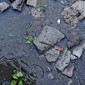 Причина сильных дождей и гроз в Приморье — атмосферные фронты