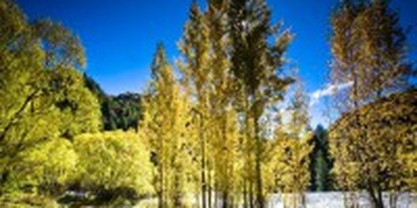 В выходные дни в Приморье потеплеет