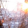 Сегодняшний день не преподнесет погодных сюрпризов Приморью 