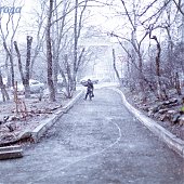 Сегодняшний день не преподнесет погодных сюрпризов Приморью 