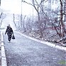 Сегодняшний день не преподнесет погодных сюрпризов Приморью 