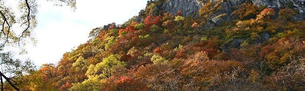 Похолодание пришло в Приморье после дождей