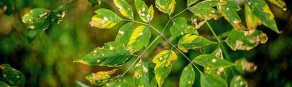 Потепление и небольшой дождь: всё о погоде в Приморье в четверг