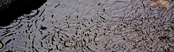 Дождь с сильным ветром и грозами испортит погоду в Приморье в воскресенье