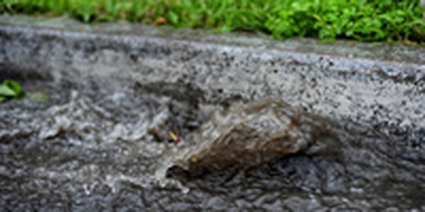 За последние 10 лет в Приморье не было таких интенсивных дождей