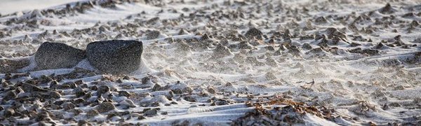Завтра в Приморье будет ветрено и морозно