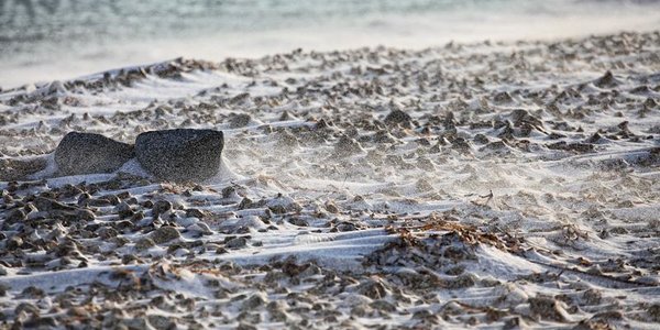Завтра в Приморье будет ветрено и морозно