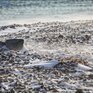 Завтра в Приморье будет ветрено и морозно