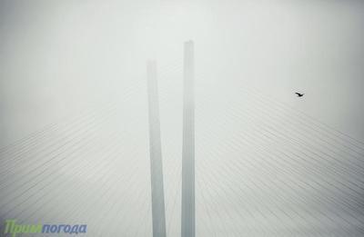 Туман придет на побережье Приморья во вторник