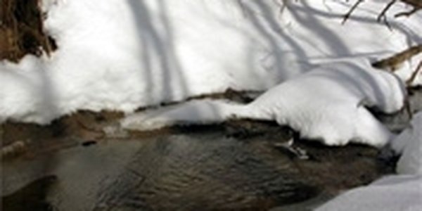 На севере Приморья сохраняется высокий снежный покров
