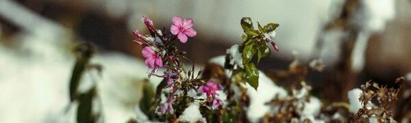 Во Владивостоке прошёл первый снег и заметно похолодало