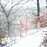 Циклон покинул Приморье, однако в крае продолжает идти снег