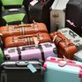 Минтранс утвердил перечень вещей, которые можно взять в ручную кладь