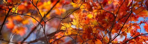 В среду в Приморье станет теплее