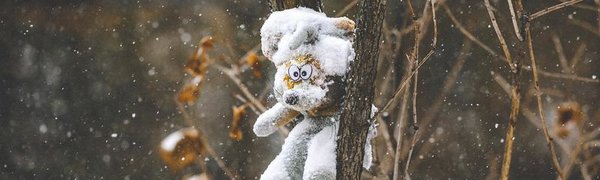 В начале недели активный циклон может испортить погоду в Приморье