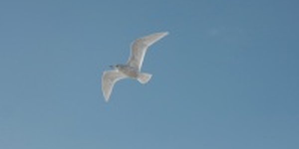 Сюрпризов от погоды на этой неделе не ожидается