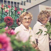 Поднимаем настроение: Пионы