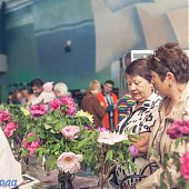 Поднимаем настроение: Пионы