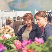 Поднимаем настроение: Пионы