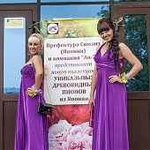 Поднимаем настроение: Пионы