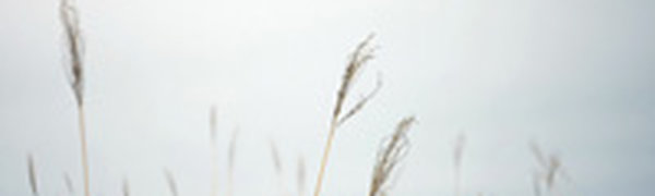 В выходные дни будет прохладно