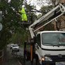 Во Владивостоке ликвидируют последствия стихии