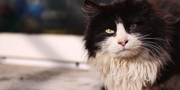 Ноябрьские холода в Приморье не собираются отступать всю неделю