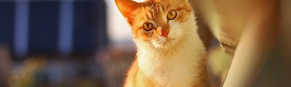 Во вторник в Приморье будет солнечно