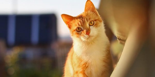 Во второй половине недели в Приморье потеплеет