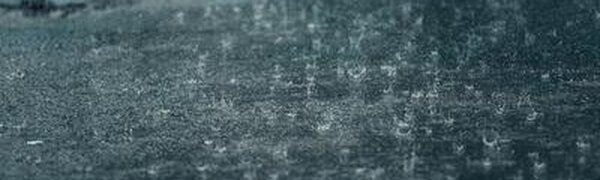 12 мм осадков выпало во Владивостоке за ночь