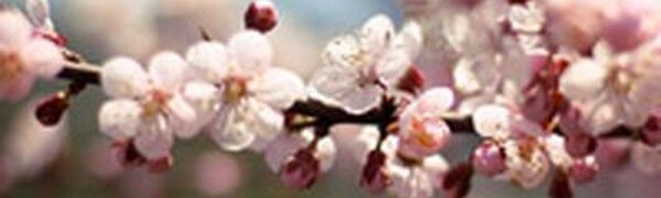 Погода на майские праздники в Приморье. Самый подробный прогноз на Примпогоде