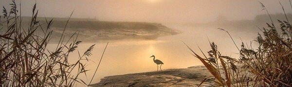 Водность рек в Приморье остается повышенной