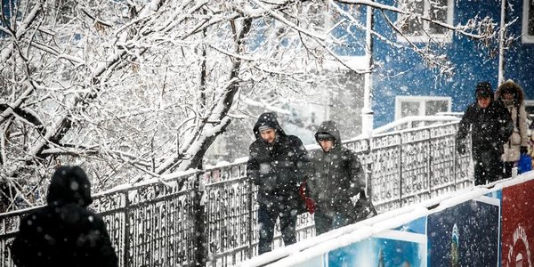 Весна придёт в Приморье со снегопадом и метелью