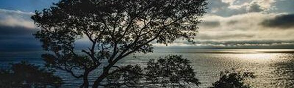 Облачная погода с кратковременными дождями и грозами ожидается в Приморье в четверг