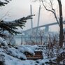 Cнег, мокрый снег и дождь, гололед и гололедица: всё о циклоне в Приморье 22 ноября (ФОТО)