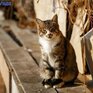 Оттепели до +7°С ожидаются в Приморье в последние выходные осени