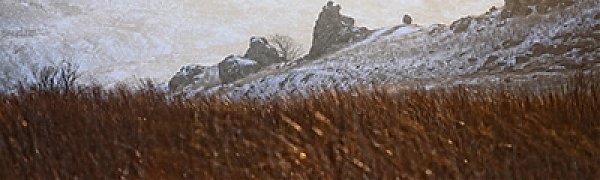 Сегодня ночью в континентальной части Приморья было морозно