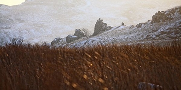 Сегодня ночью в континентальной части Приморья было морозно