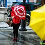 Владивосток готовится к приходу тайфуна «Гони» (ОБЗОР)