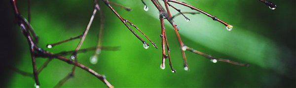 Тайфун «Гони» движется на Приморье