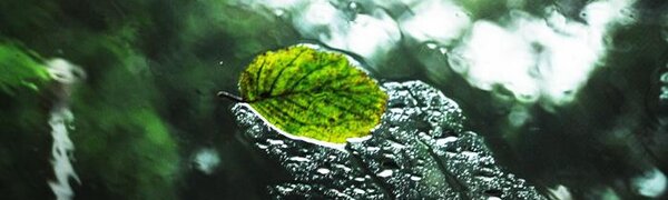 Тайфун «Майсак» окажет влияние на погоду Приморья 3 – 4 сентября (ТРАЕКТОРИЯ)