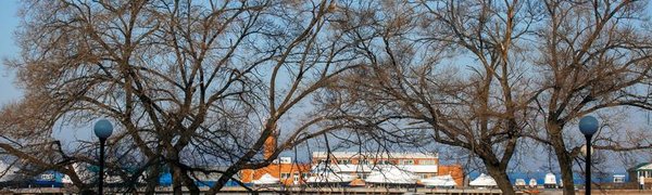 Минус на плюс: на выходных во Владивостоке потеплеет