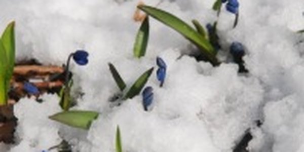 Весна еще не пришла: Мнение посетителей Примпогоды